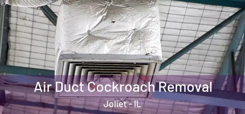 Air Duct Cockroach Removal Joliet - IL