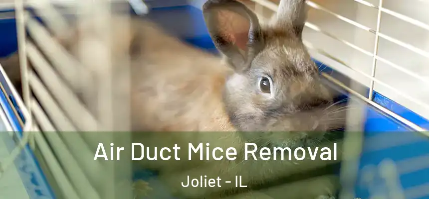  Air Duct Mice Removal Joliet - IL