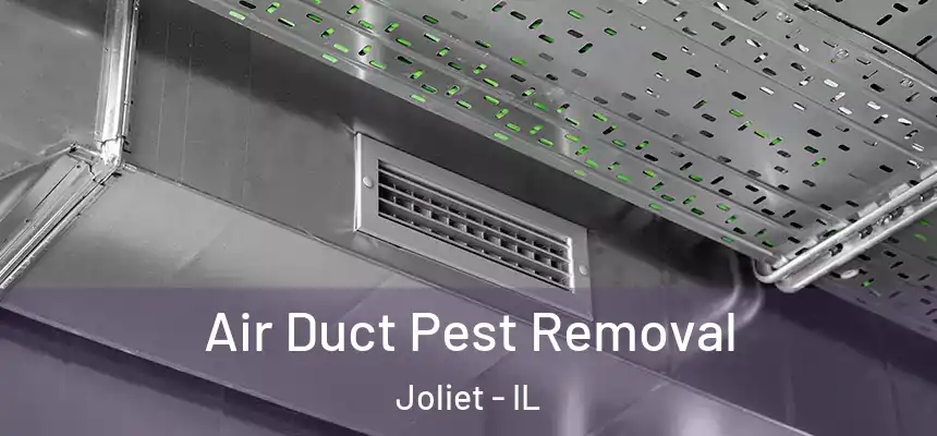 Air Duct Pest Removal Joliet - IL