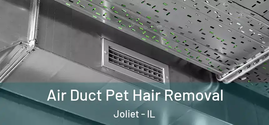  Air Duct Pet Hair Removal Joliet - IL