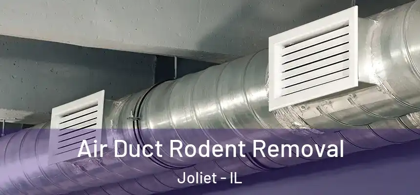 Air Duct Rodent Removal Joliet - IL