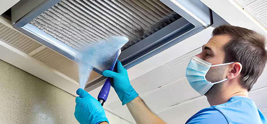 Proactive Dryer Vent & Auxiliary Duct Pollen Cleanup in Joliet, IL