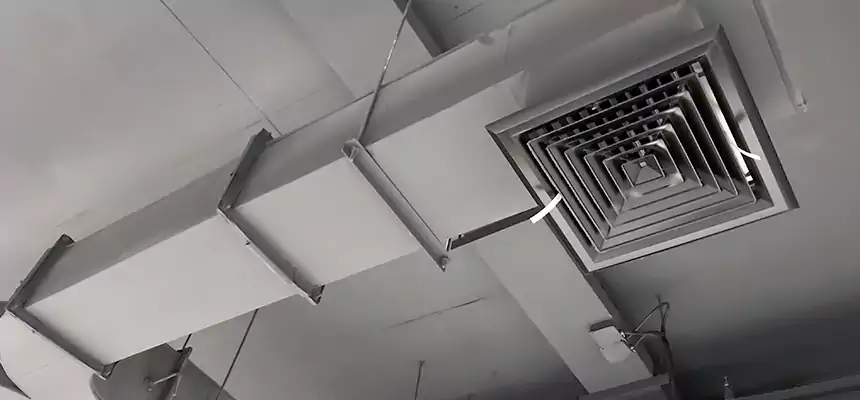 Restorative Allergy Relief Vent Cleaning – Coil, Blower & Housing Detail in Joliet