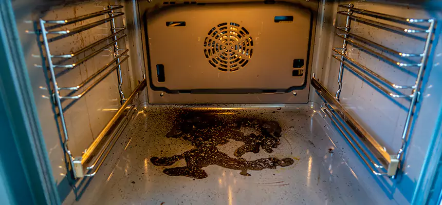 Our Dryer Vent Mold Cleaning Services in Joliet, IL