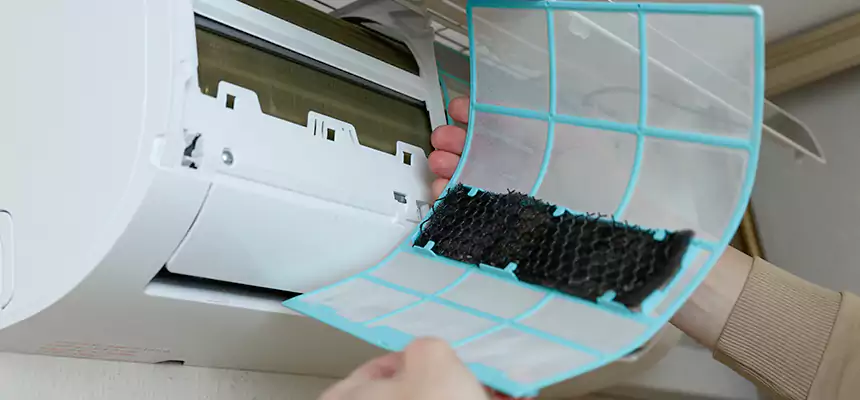 Gentle Ductwork Odor-Control Pet Dander Duct Cleaning in Joliet, IL