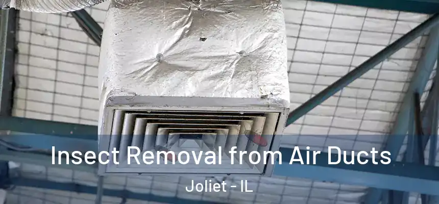 Insect Removal from Air Ducts Joliet - IL
