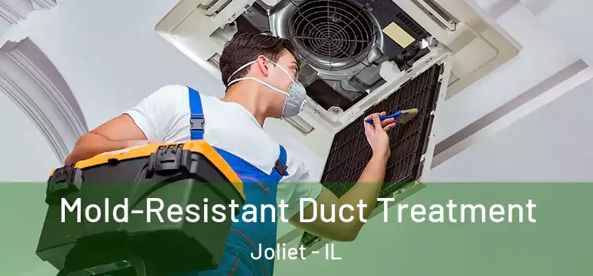 Mold-Resistant Duct Treatment Joliet - IL