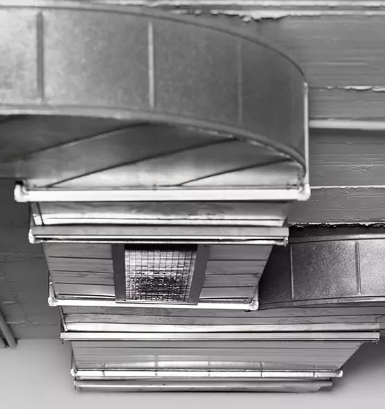 Professional Air Duct Pest Removal in Joliet, IL