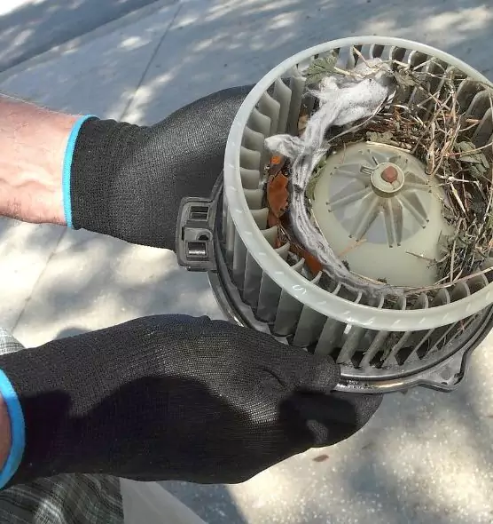 About Air Duct Rat Removal in Joliet, IL