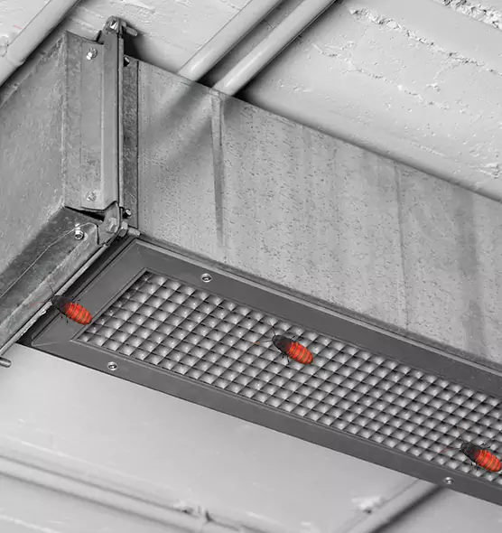 Affordable Insect Removal from Air Ducts in Joliet, IL