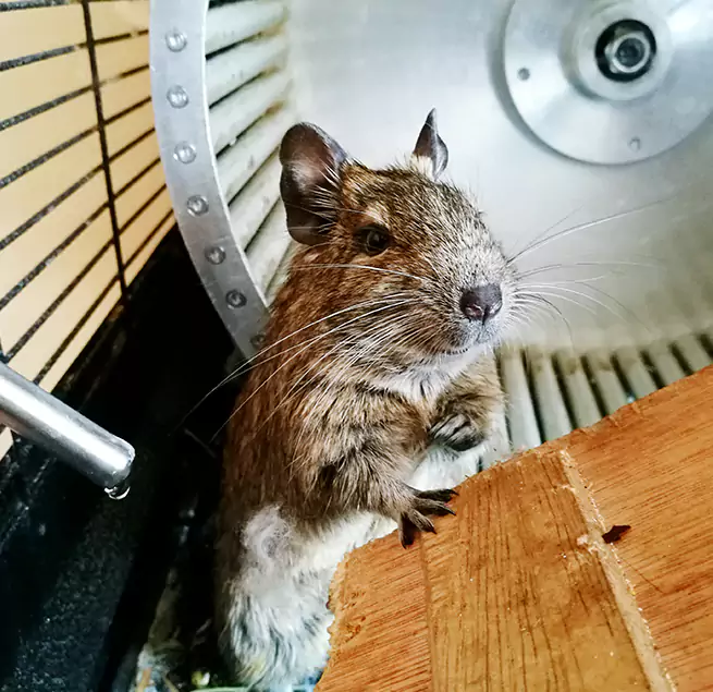 Why Homeowners & Businesses Trust Us Joliet, IL