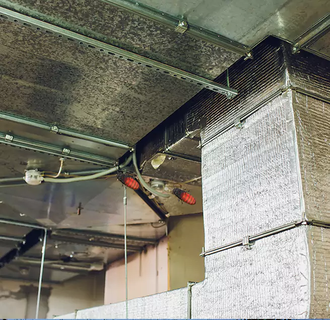 Why Homeowners & Businesses Trust Us Joliet, IL?