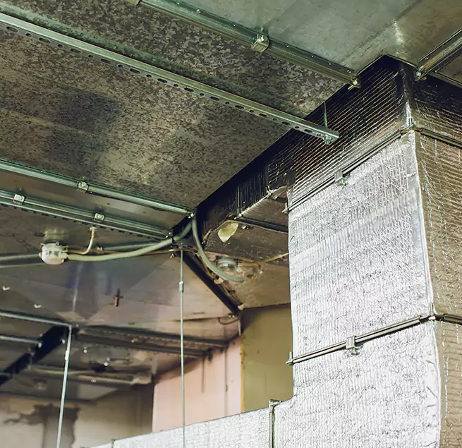 Why Homeowners & Businesses Trust Us in Joliet, IL?